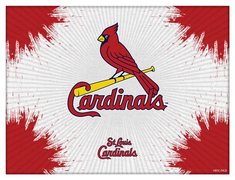 St. Louis Cardinals 15 X 20 inch Canvas Wall Art